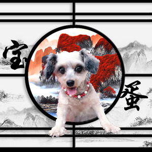 一起生活