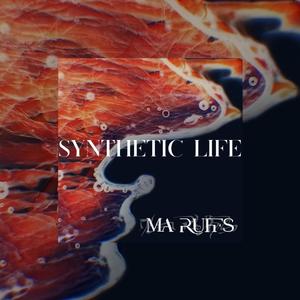 Synthetic Life