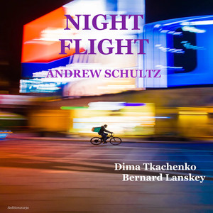 Night Flight - Andrew Schultz