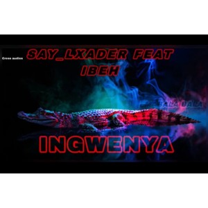 Ingwenya