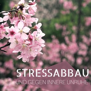 Stressabbau und Gegen Innere Unruhe - Gelassenheit mit Nature Musik