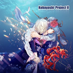 Kobayashi Project 2