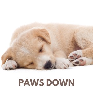 Paws Down