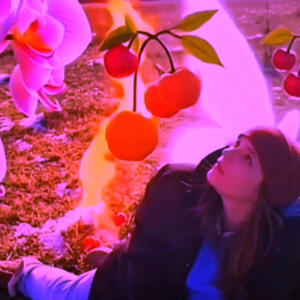 Hellfire & Angel Wings