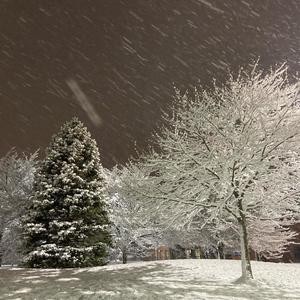 Thr333xKain - Figure It Out (Explicit)