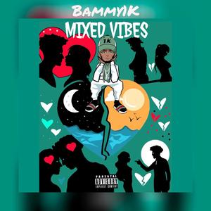 MIXED VIBES (Explicit)