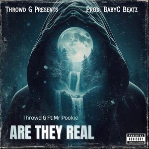 Are They Real (feat. Mr. Pookie) [Explicit]