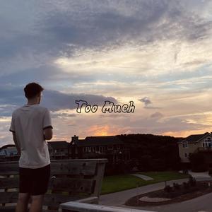 Too Much (Explicit)