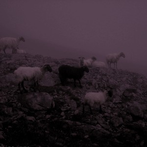 Black Sheep: Album Version (Explicit)