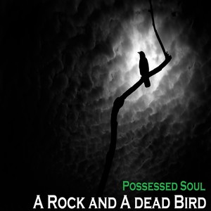 A Rock & A Dead Bird (Original Mix)