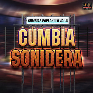 Cumbias Papi Chulo Vol. 3