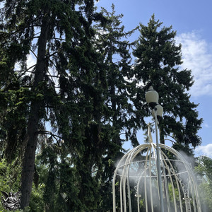 Холодно в коме (Explicit)