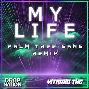 My Life (Palm Tree Gang Remix)