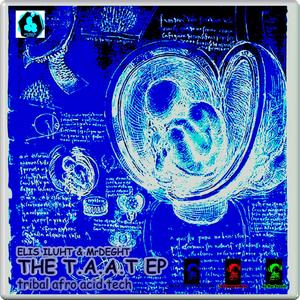 The T.A.A.T (Tribal Afro Acid Tech) Extended Play