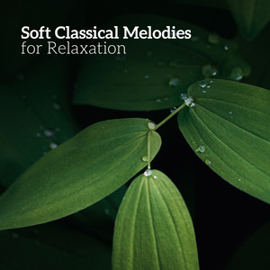 Soft Classical Melodies for Relaxation