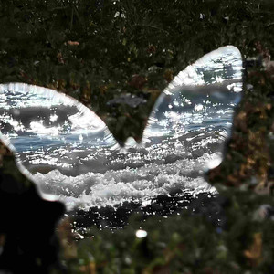 阿米嘎 - 恋人 (古筝宿命版)