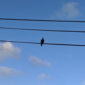 God Is Inside (feat. Genuine)