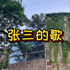 张三的歌 (搞怪版)