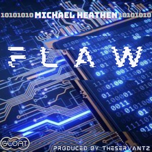 Flaw (Explicit)