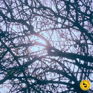 Inwood improv: Riverside