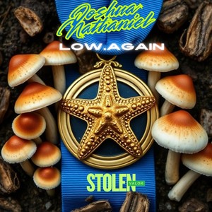 The Rabbit Hole (feat. Low.again & Goodie)