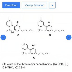 CBD (feat. Red Eye & D.O) (Remix|Explicit)