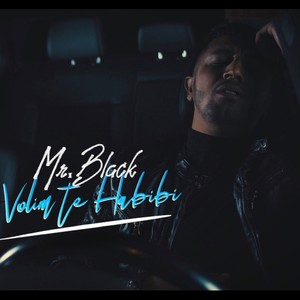 Volim te habibi (Mr.Black)