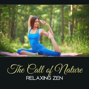 The Call of Nature: Relaxing Zen – Yoga Mindfulness, Harmony from Nature, Practice in Buddhist Space, Powerful Energy