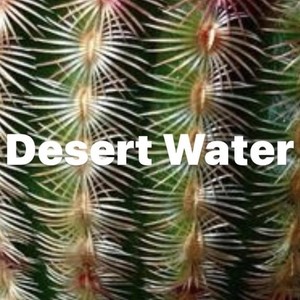 Desert Water (Explicit)