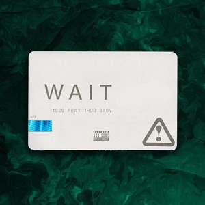 Wait (Explicit)