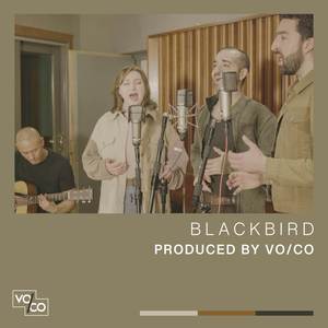 Blackbird (Live)