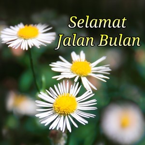 Selamat Jalan Bulan