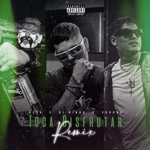 Toca Disfrutar (feat. Reek & Corona) [Remix] [Explicit]