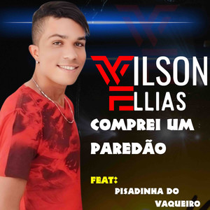 Comprei um Paredão (feat. Pisadinha do Vaqueiro)