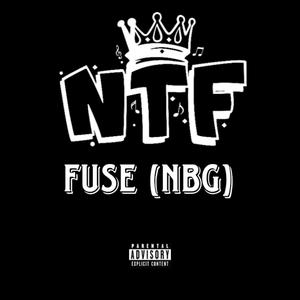 NTF (feat. Fuse NBG) (Explicit)