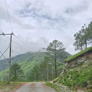 AP#0 (shash's Discog ED1)