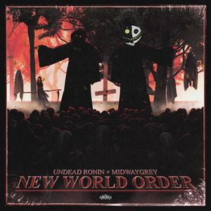 NEW WORLD ORDER (Explicit)