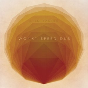 Wonky Speed Dub