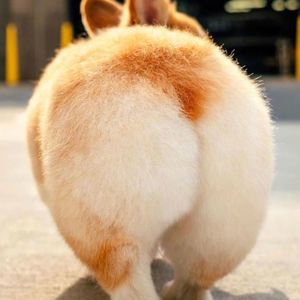 那是你离开了北京的生活