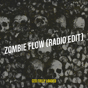 Zombie Flow (Radio Edit)