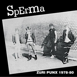 Züri Punx (1978-1980)