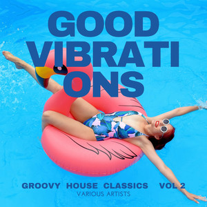 Good Vibrations (Groovy House Classics) , Vol. 2