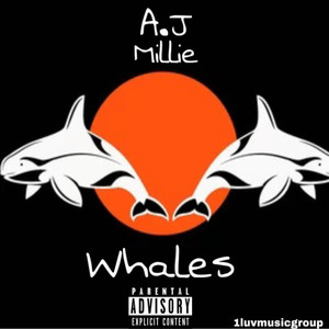 Whales (Explicit)