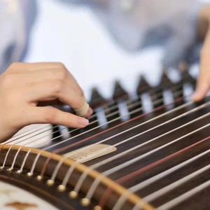 痴情冢 (翻奏: 贾青|徐溢)