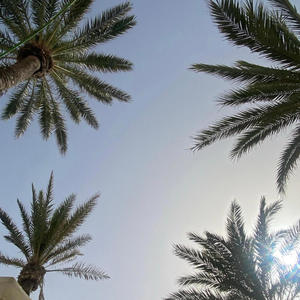 Spring Break (feat. TYSK) (Explicit)