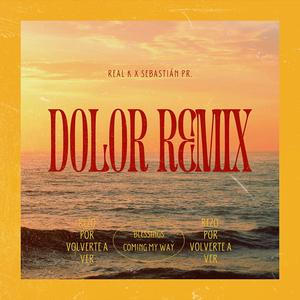 Dolor (feat. Sebastián PR.) (Remix)