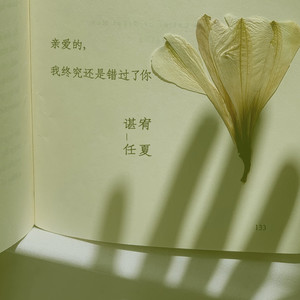 亲爱的,我终究还是错过你了