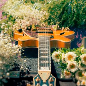 Looks Like (feat. Nate Miller)