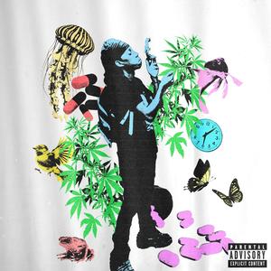 Roxies (feat. Polo Youngin, DJ BLAT & Evergrowth|Explicit)