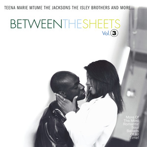 The Luv U Wanted (Album Version)